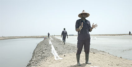 Mouhamed El Bachir Niang, Wasse Walo